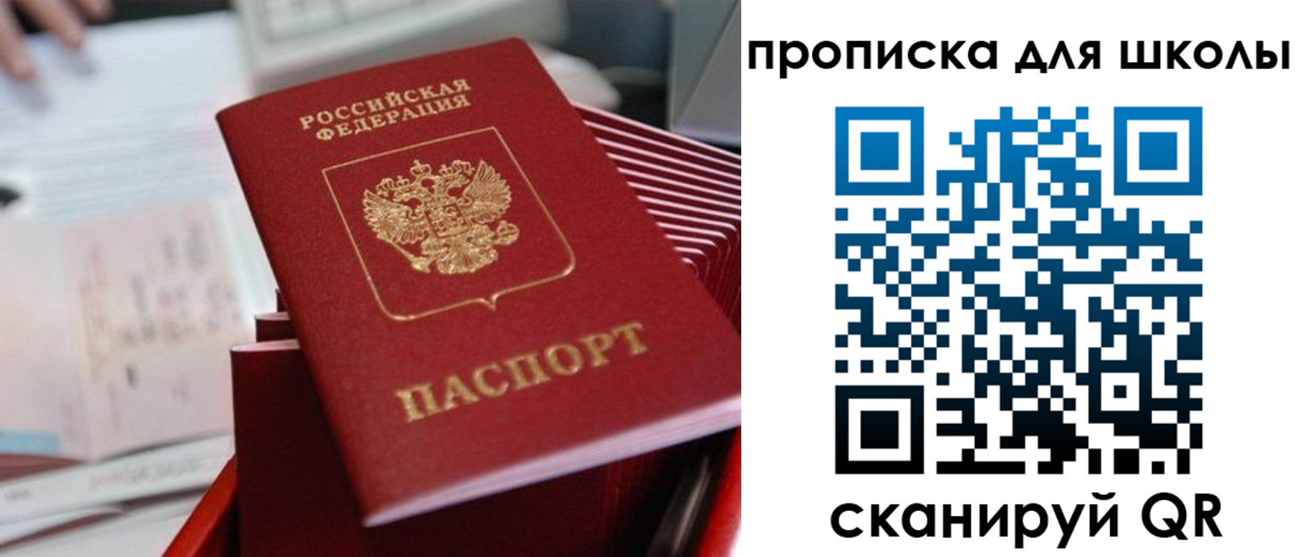 прописка для школы в Рязанской области
